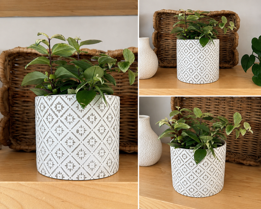Cache-pot ‘Clara’