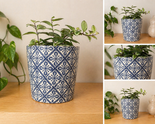 Cache-pot ˋAzure´