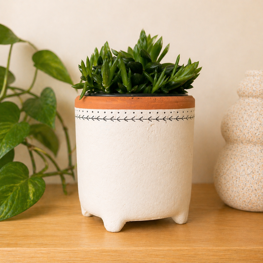 Cache-pot ´Terra’
