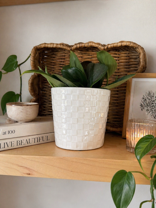 Cache Pot ‘Pearl’