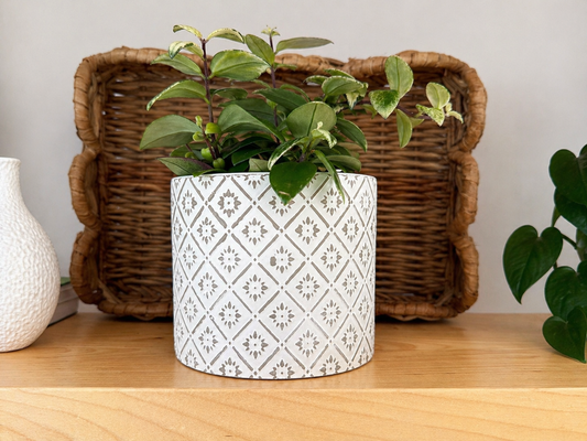 Cache-pot ‘Clara’