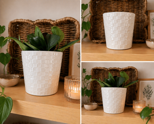 Cache Pot ‘Pearl’