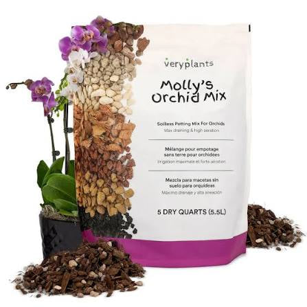 Molly’s Orchid Mix