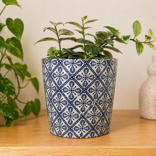 Cache-pot ˋAzure´