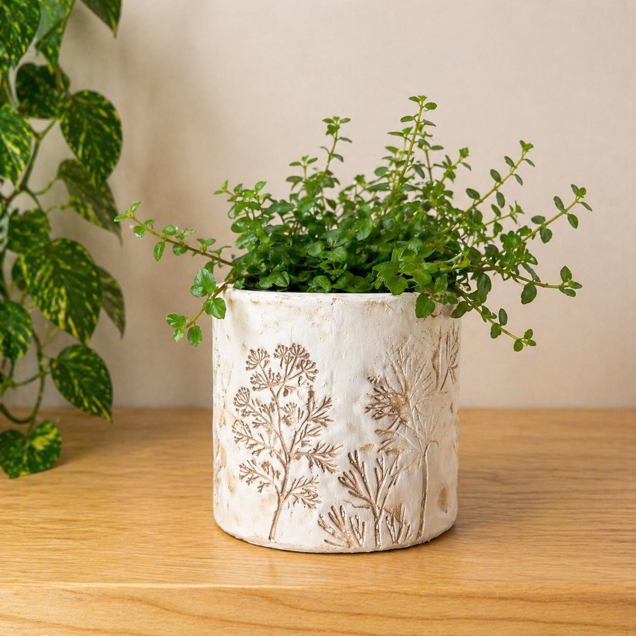 Cache-pot « Brume »