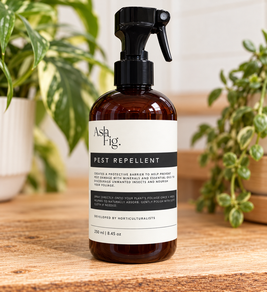 Pest Repellent “Ash & Fig”