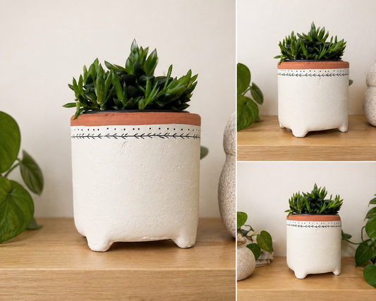 Cache-pot ´Terra’