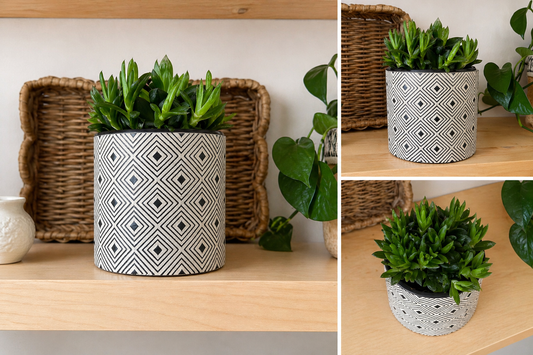 Cache-Pot ‘Brooks’